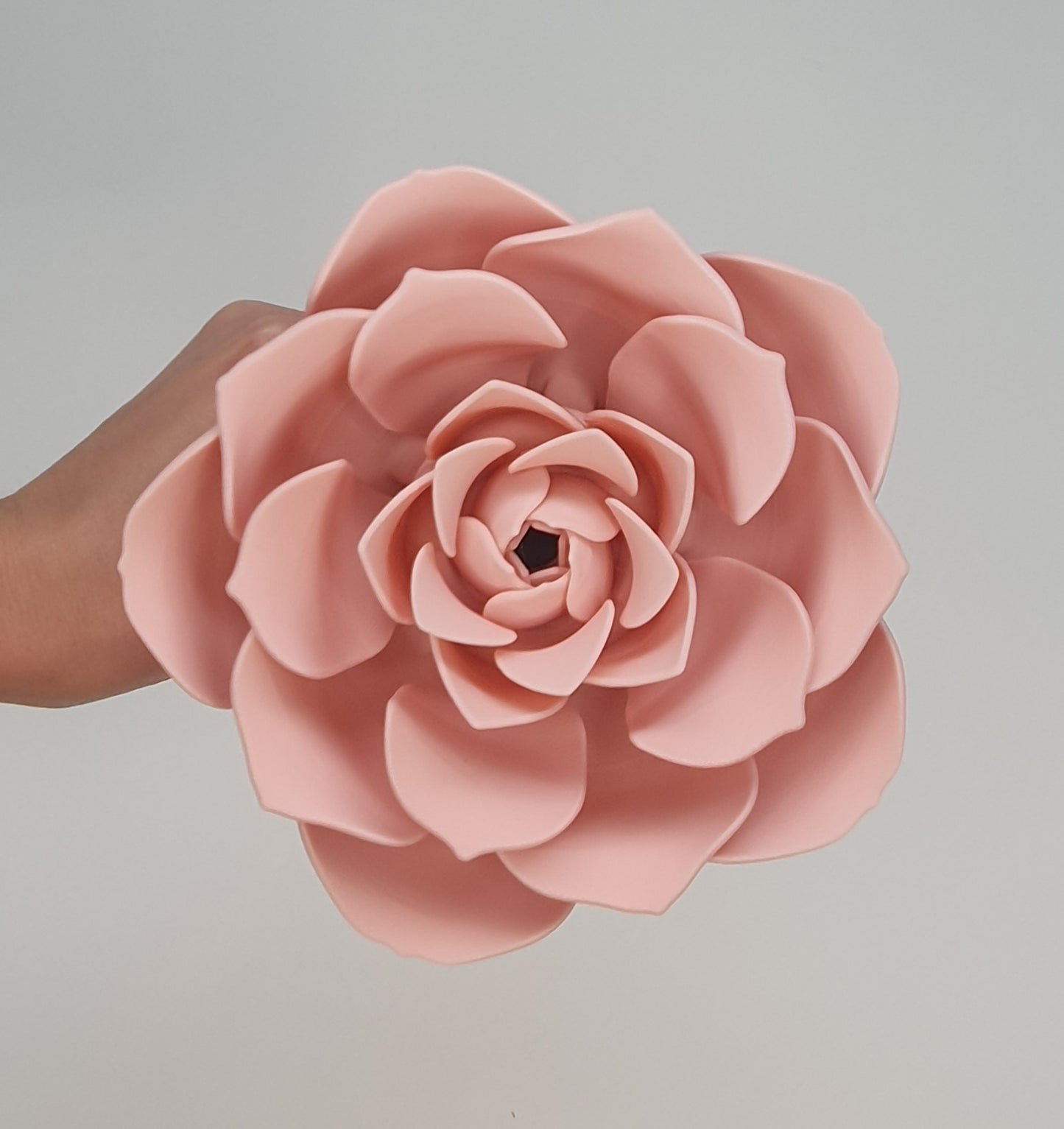 Collectables - Rozen