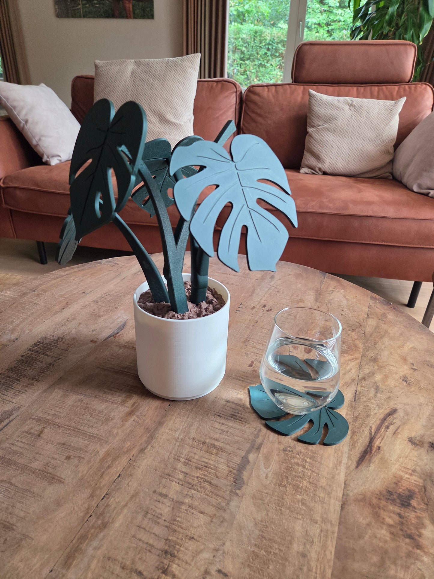 Monstera