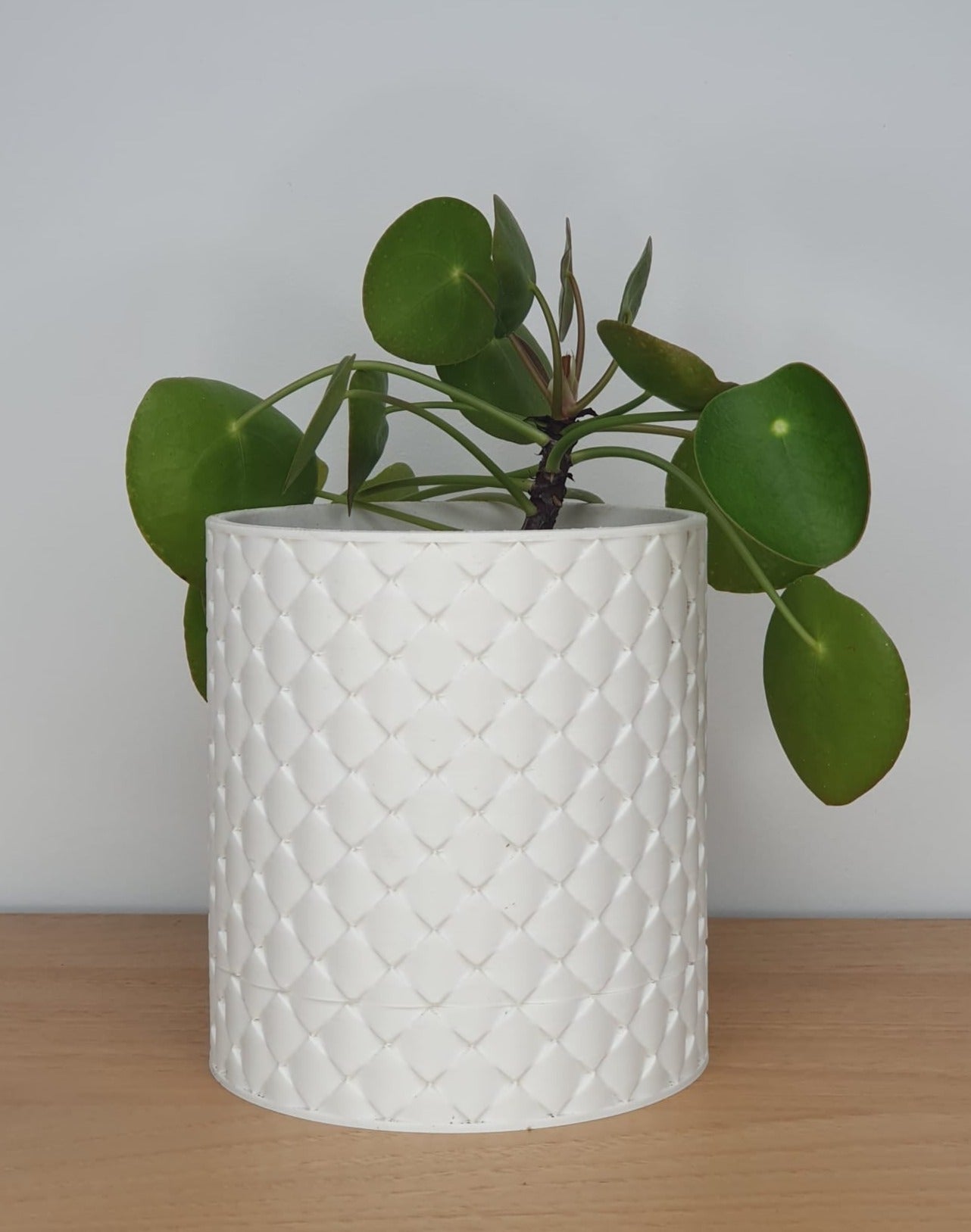 Quilted Planter - Decorative Plant Display