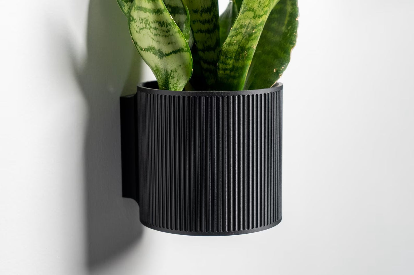 The Heywood - Decorative Wall Plant Display