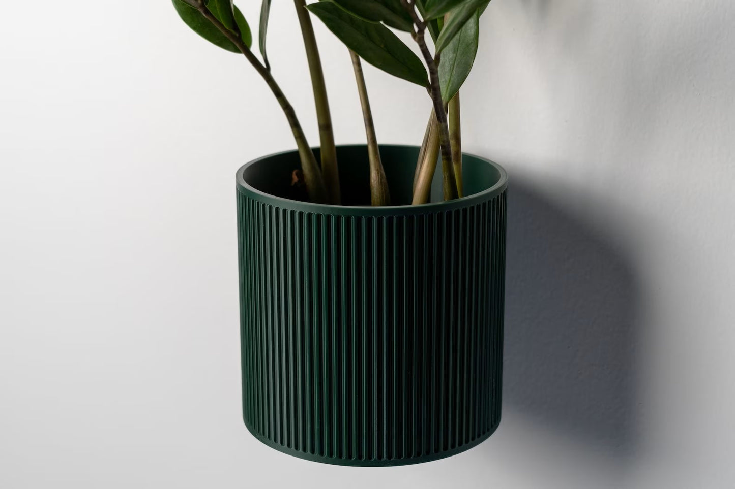 The Heywood - Decorative Wall Plant Display