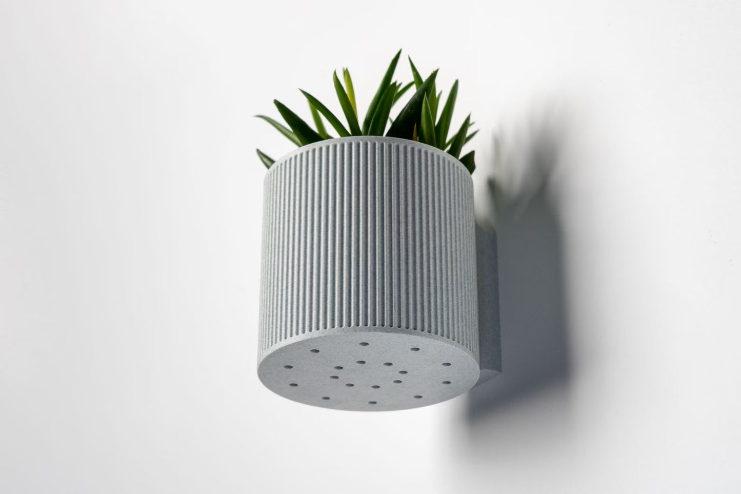 The Heywood - Decorative Wall Plant Display