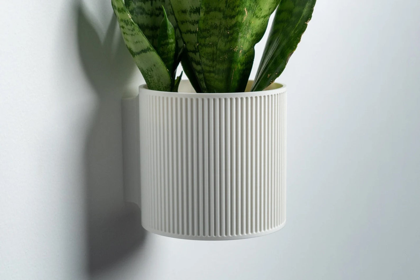 The Heywood - Decorative Wall Plant Display