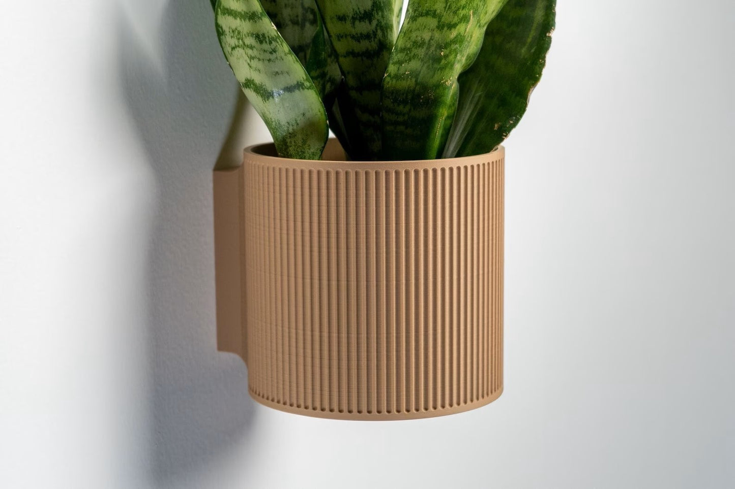 The Heywood - Decorative Wall Plant Display