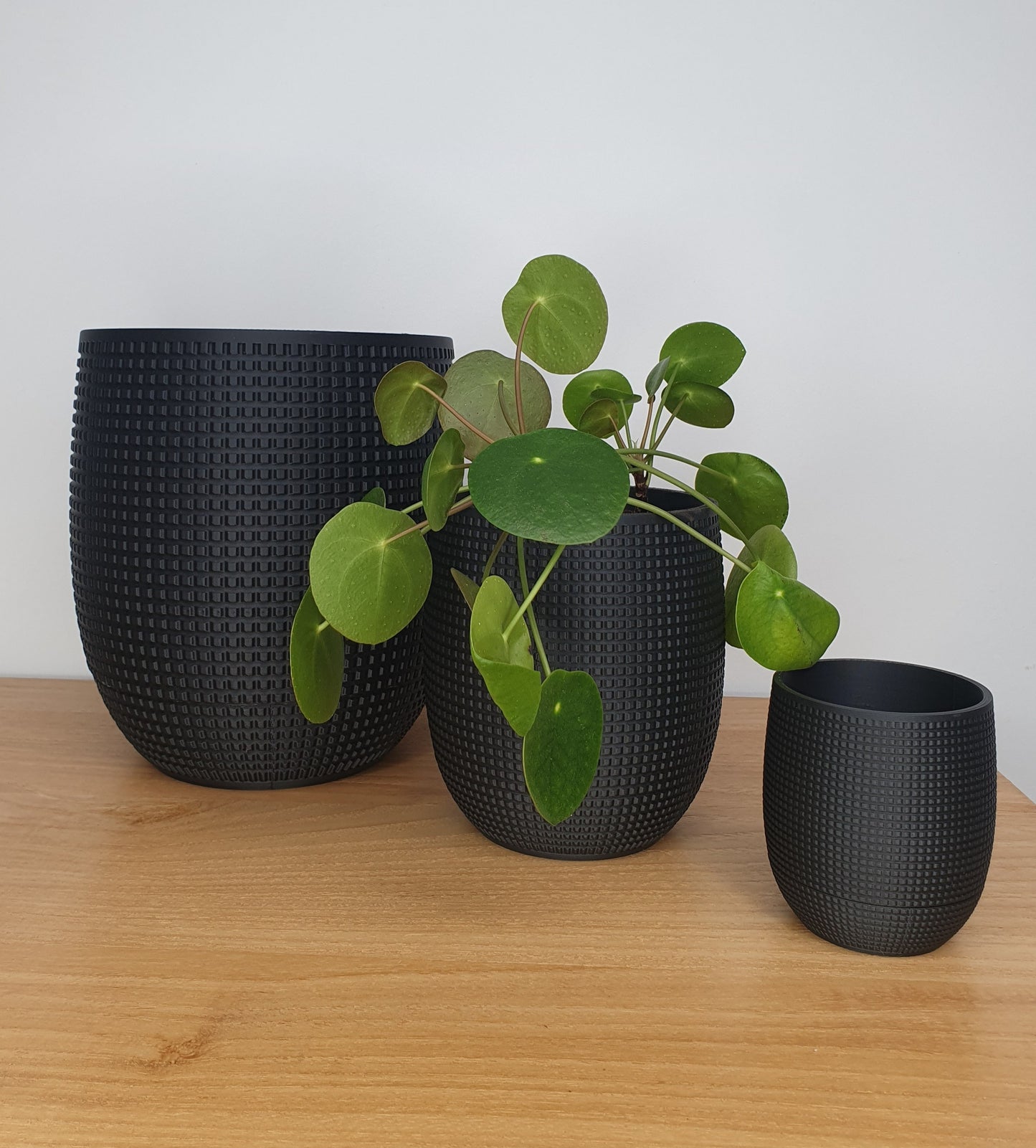 The Grid - Decoratieve Plantendisplay