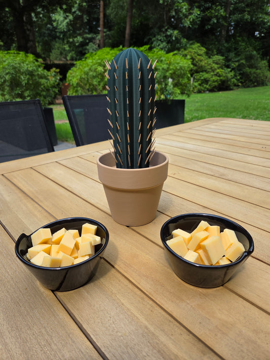 Cactus - Tandenstokerhouder