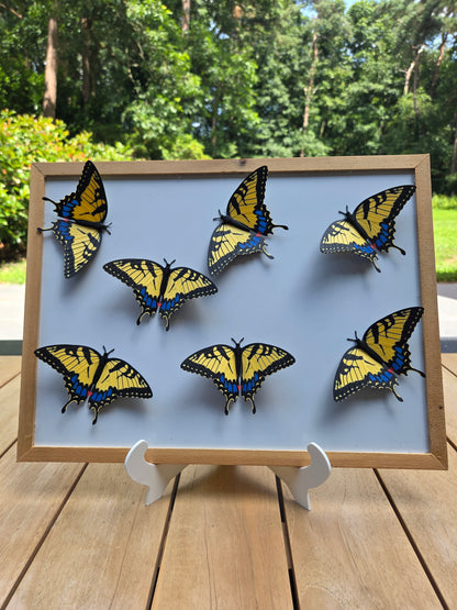 Magneetvlinders – Levensechte 3D-print in drie soorten