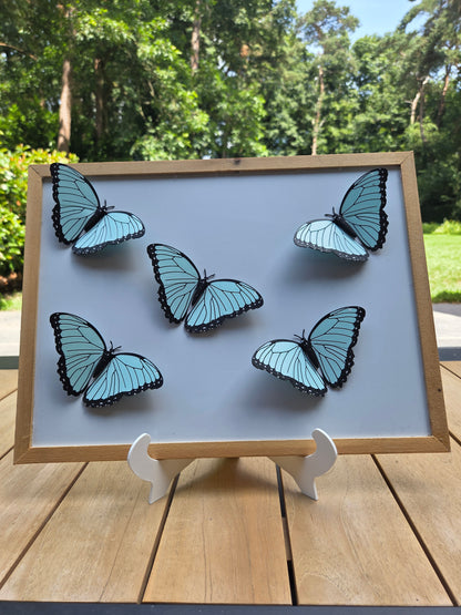 Magneetvlinders – Levensechte 3D-print in drie soorten