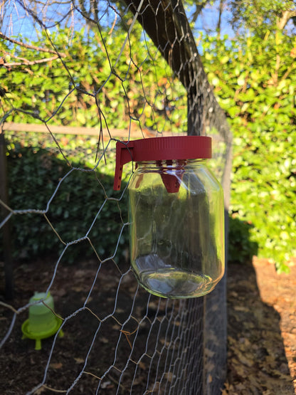 Aziatische Hoornaar val (Voor Nutella pot)