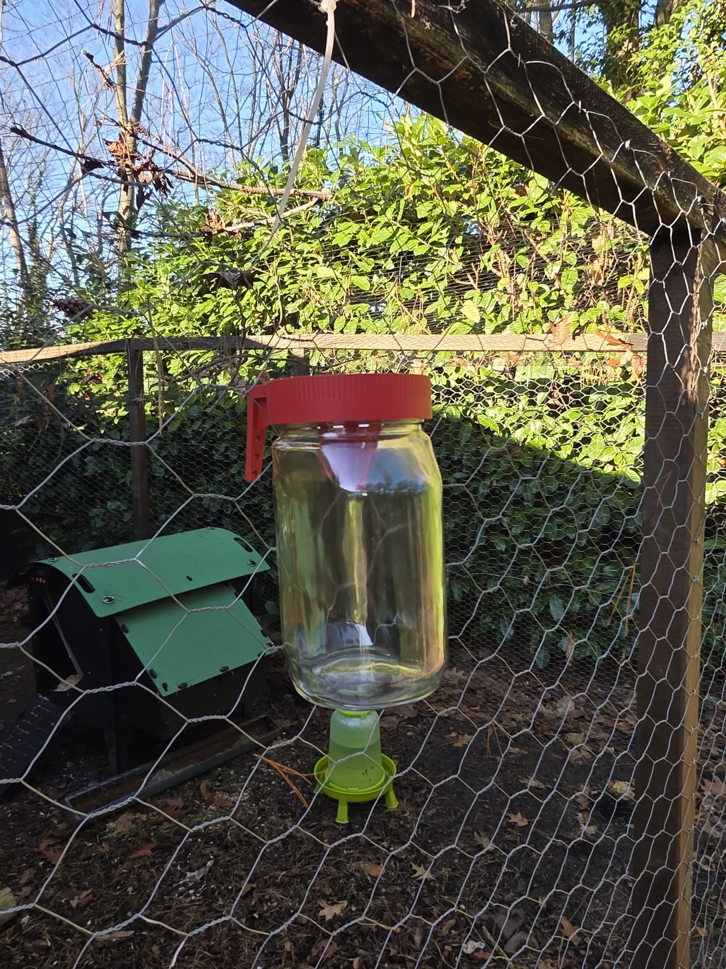 Aziatische Hoornaar val (Voor Nutella pot)