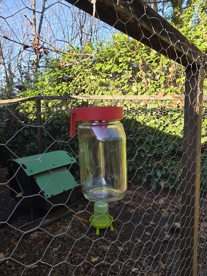 Aziatische Hoornaar val (Voor Nutella pot)